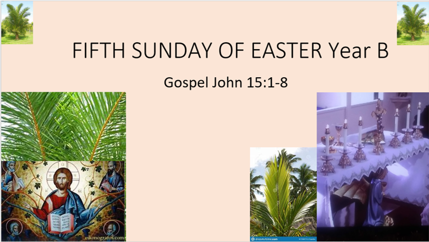 FIFTH SUNDAY OF EASTER  Year B   Gospel John 15:1-8