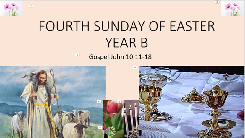 FOURTH SUNDAY OF EASTER YEAR  B  –  Gospel John 10:11-18