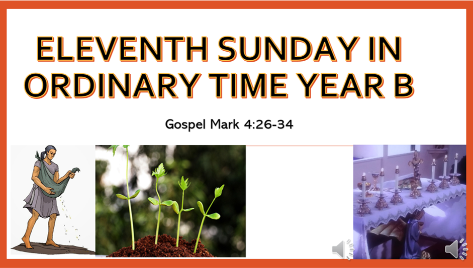 Eleventh Sunday in Ordinary Time Year B – Gospel Mark 4:26-34